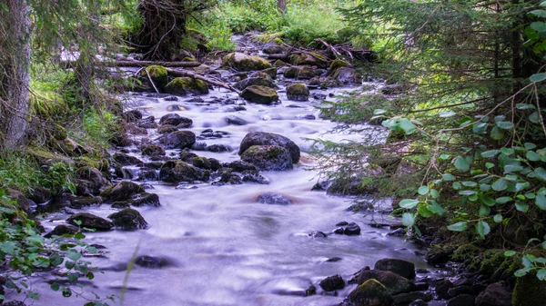 Kleiner Fluss — Stockfoto