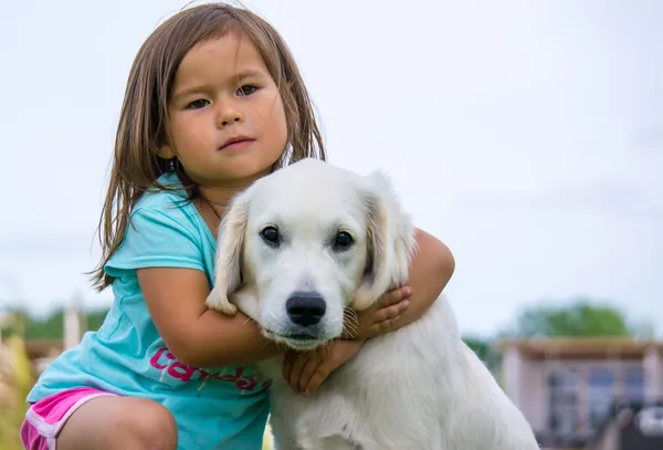 golden retriever yavrusu ile yürümeye başlayan çocuk kız