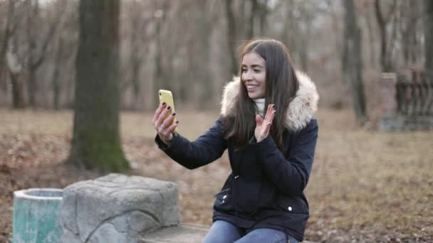 一个漂亮的女孩坐在一个冬日公园的长椅上 一个漂亮的女人拿着一个黄色的盒子打电话和一个视频聊天 心情很愉快 — 图库视频影像