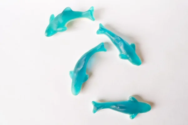 jöle köpekbalıkları