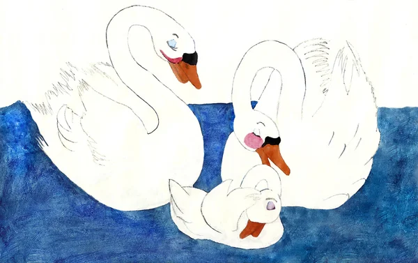 Swan родини — стокове фото