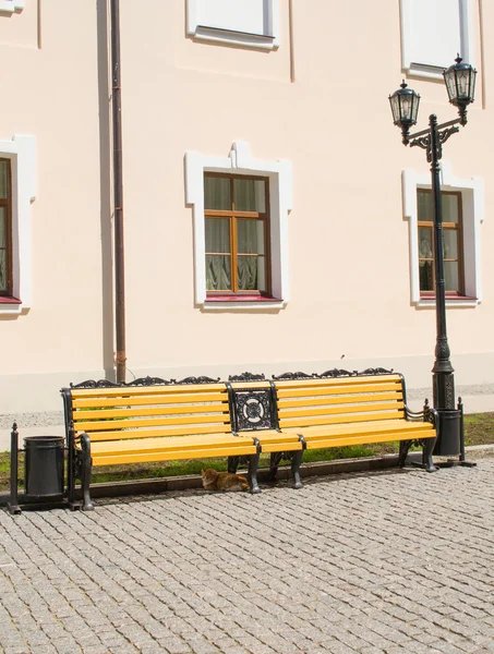 Bench under lamp in city park — Stock Photo, Image