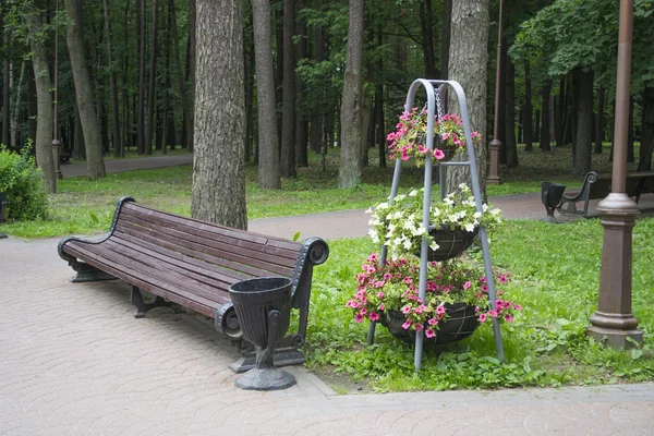 Park design — Stock Photo, Image
