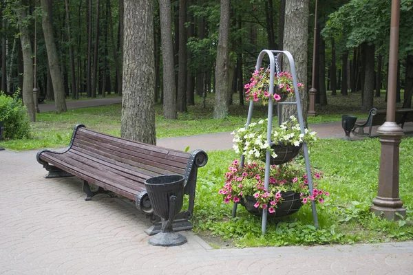 Park tasarım — Stok fotoğraf