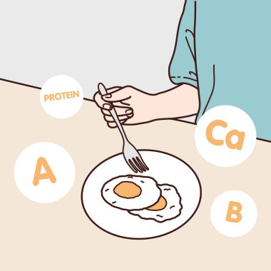 A fried egg breakfast contains protein, vitamin A, B vitamins and calcium, illustrator design and isolated background.