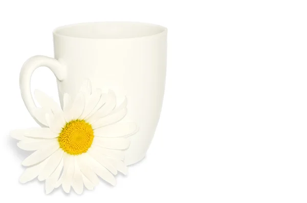 White cup and chamomile — Zdjęcie stockowe