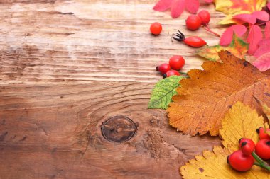 çilek ile sonbahar yaprakları