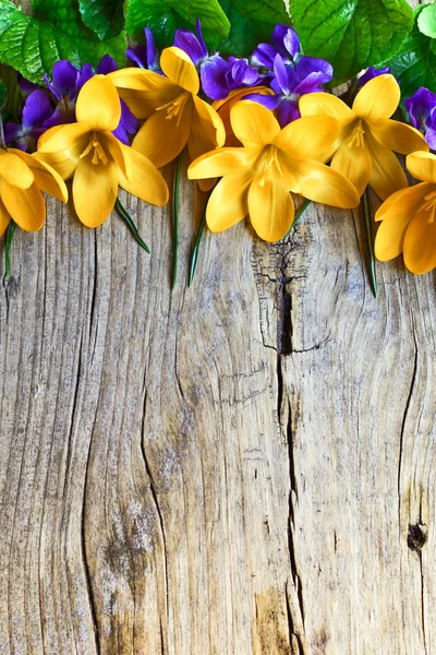 Bouquet — Stock Photo, Image