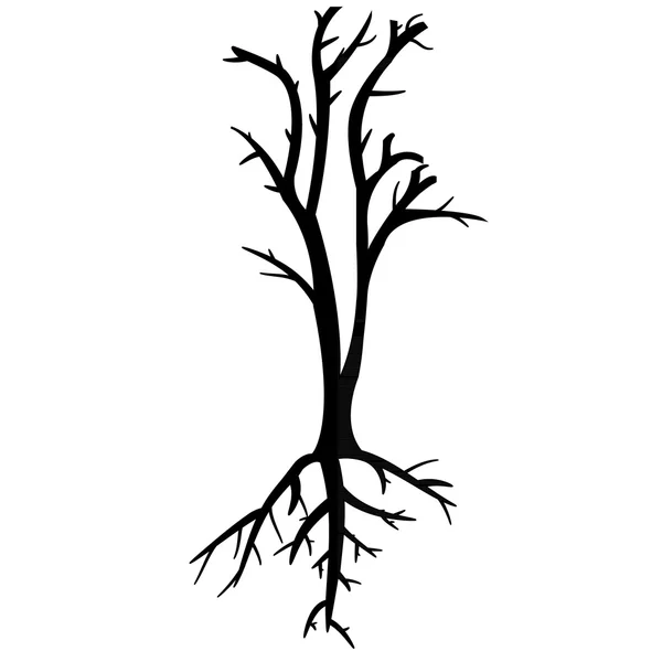 Pohon dengan cabang dan akar mati - Stok Vektor