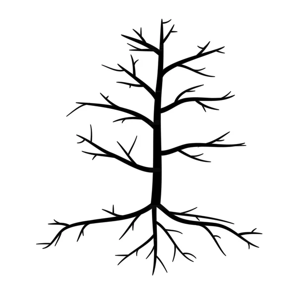 Trees with dead branches and roots — Stock Vector