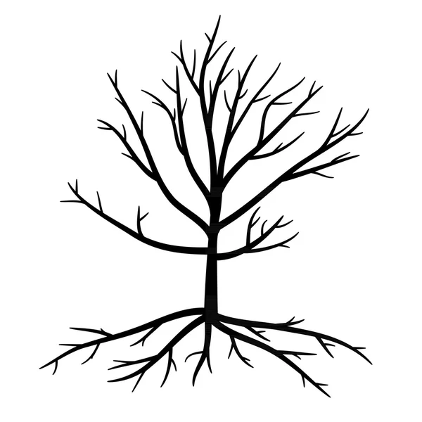 Arbres aux branches et racines mortes — Image vectorielle