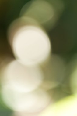 Yeşil bokeh soyut