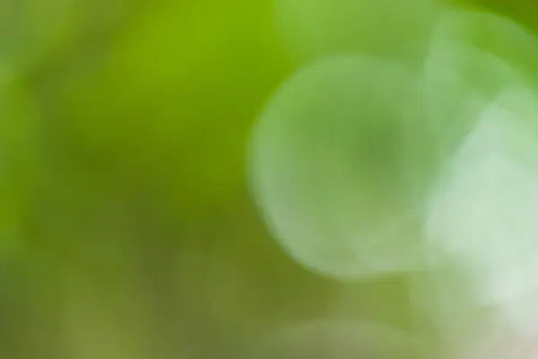 Green bokeh abstract — Stock Photo, Image