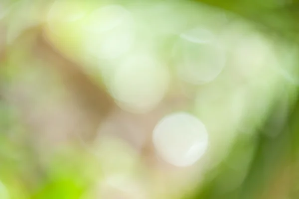 Green bokeh abstract — Stock Photo, Image