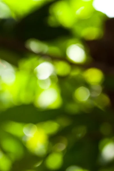 Green bokeh abstract — Stock Photo, Image