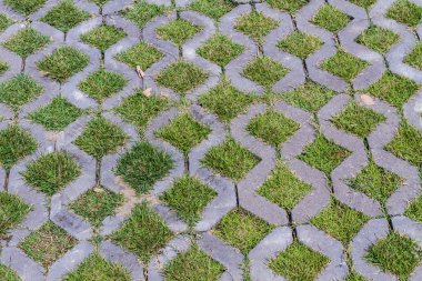 güzel yeşil çimen