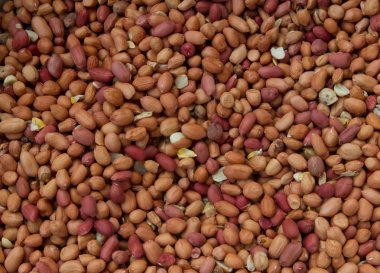 kurutulmuş portre fıstık