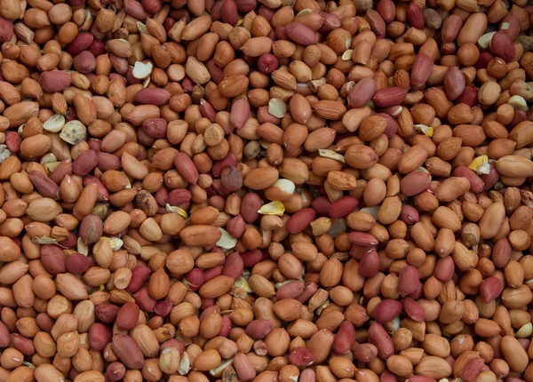 Torkade jordnötter i närbild — Stockfoto
