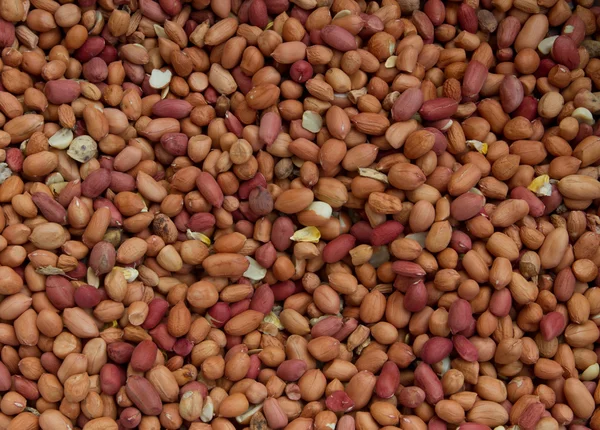 Dried peanuts in closeup — Stock Photo, Image