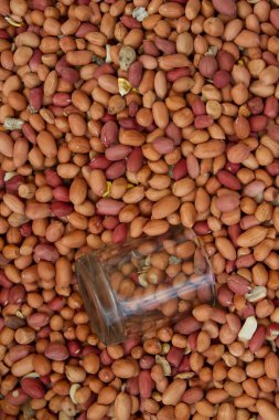 kurutulmuş portre fıstık