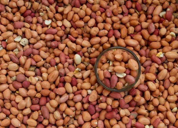 Dried peanuts in closeup — Stock Photo, Image