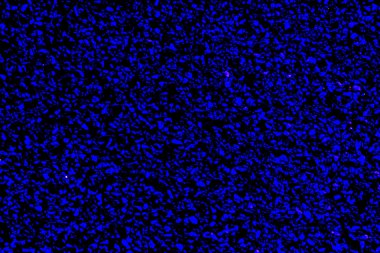 Taş duvar dokusu fotoğrafının arkaplanı