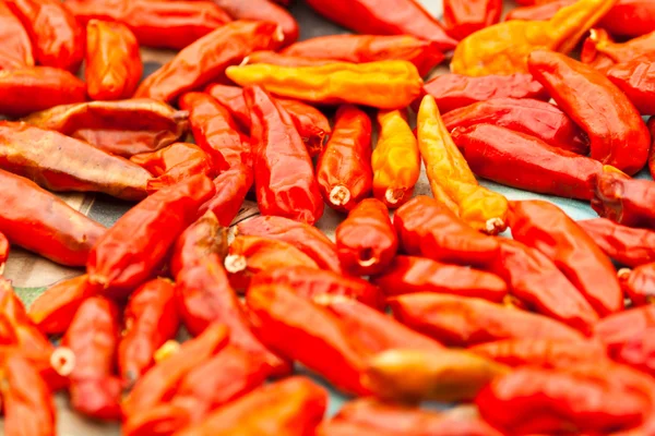 Pimientos rojos picantes — Foto de Stock