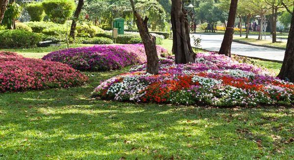 I bellissimi fiori — Foto Stock