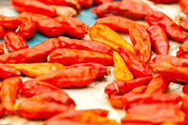 Kırmızı acı biber.