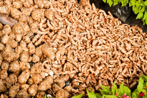 Small pile of turmerics — Stock Photo, Image
