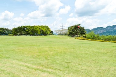 Güzel bahar çiçekleri