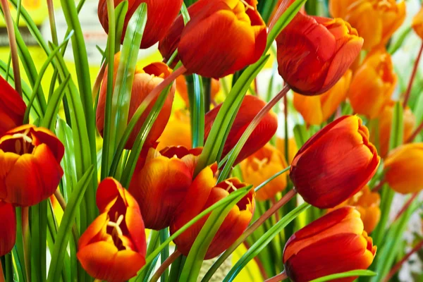 Hermosas flores de primavera —  Fotos de Stock