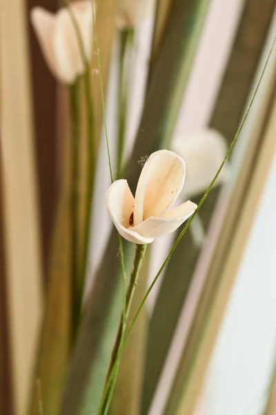 Hermosas flores de primavera —  Fotos de Stock