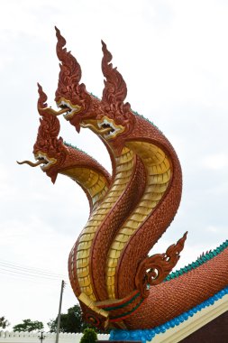 ejderha