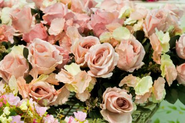 Güzel bahar çiçekleri