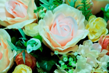 Güzel bahar çiçekleri