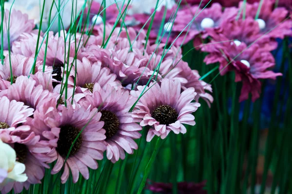 Lindas flores de primavera — Fotografia de Stock