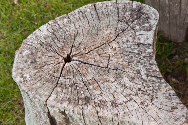 Ahşap duvar arkaplanı veya dokusu