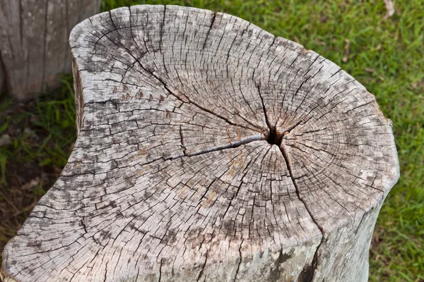 Fondo o textura de pared de madera — Foto de Stock