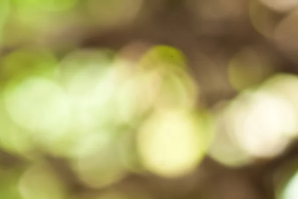 Green bokeh abstract — Stock Photo, Image