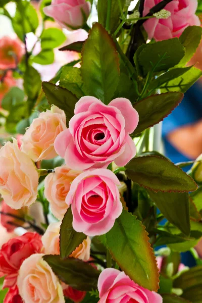 Rosas de flor —  Fotos de Stock