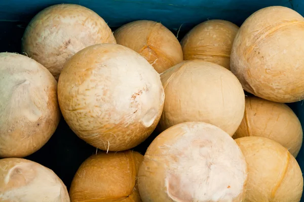 Coconut — Stock Photo, Image