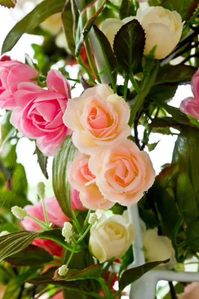 Blossom rosor — Stockfoto