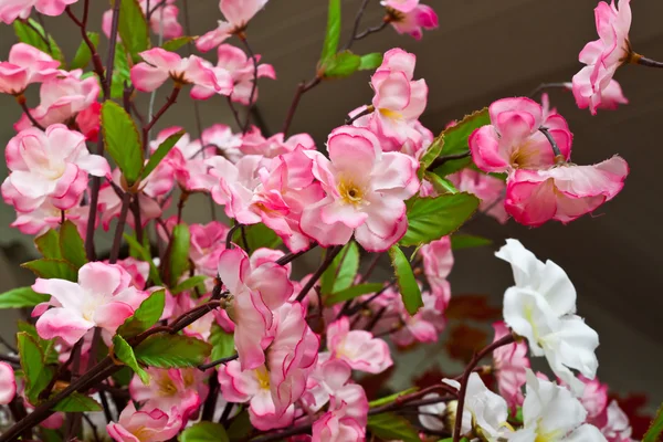 Belles fleurs printanières — Photo