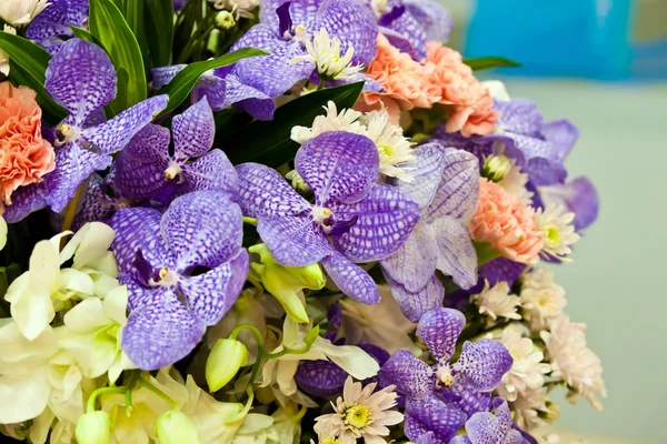 Hermosas flores de primavera —  Fotos de Stock