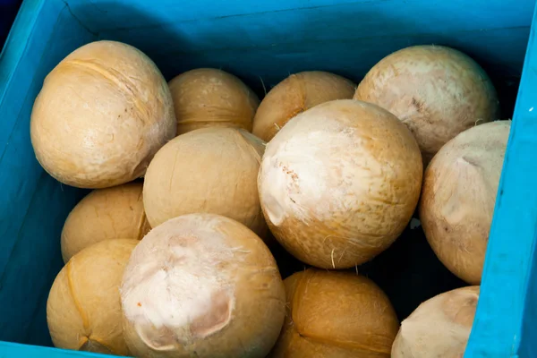 Coconut — Stock Photo, Image