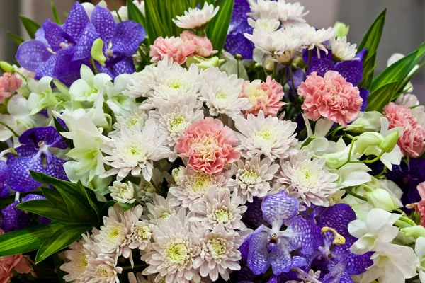 Schöne Frühlingsblumen — Stockfoto