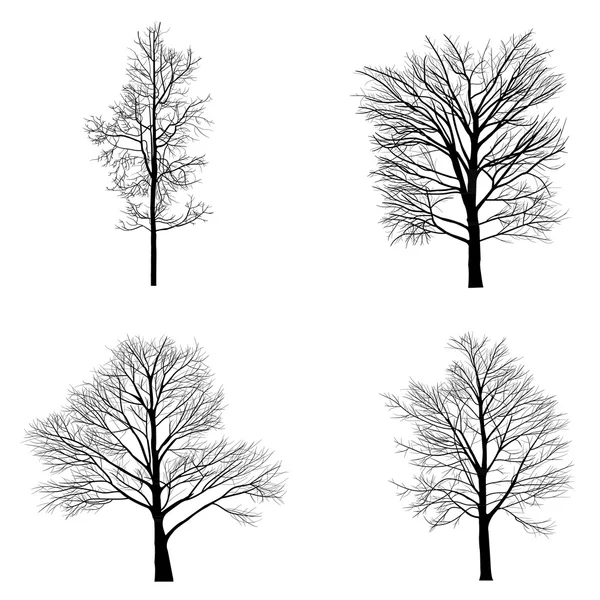 Arbres à branche morte — Image vectorielle