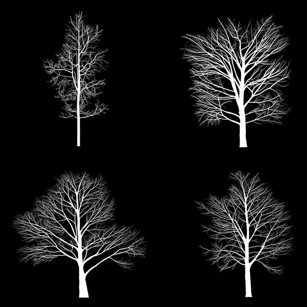 Träd med död gren — Stock vektor