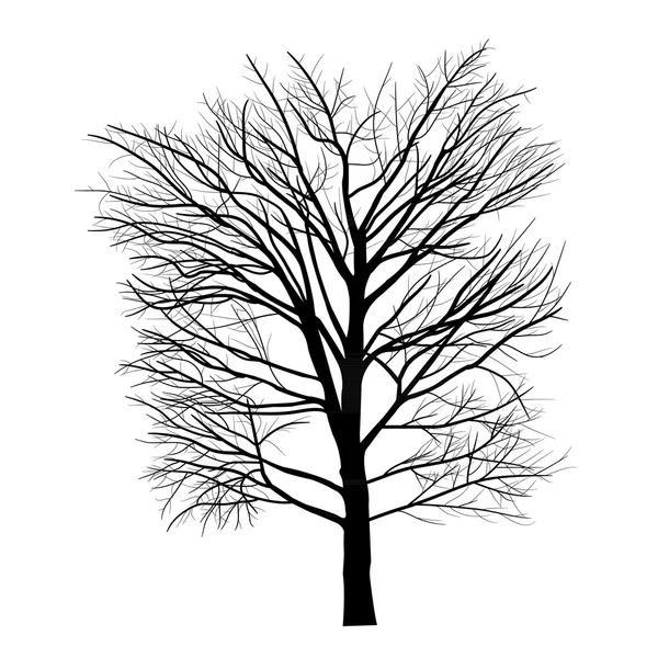 Δέντρα με νεκρά υποκατάστημα — Διανυσματικό Αρχείο